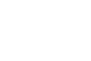 logo-fox-ess